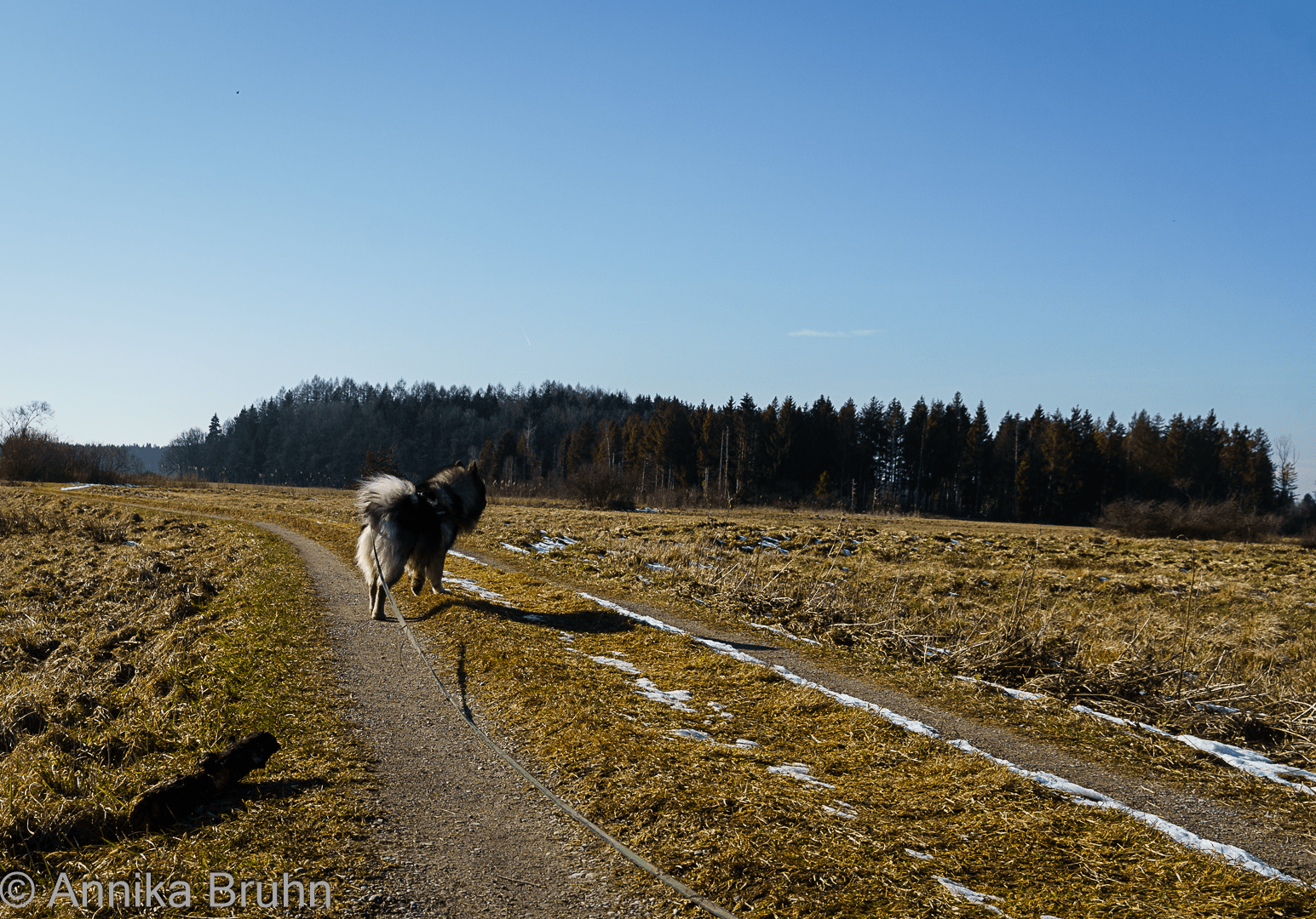 Q im Naturschutzgebiet
